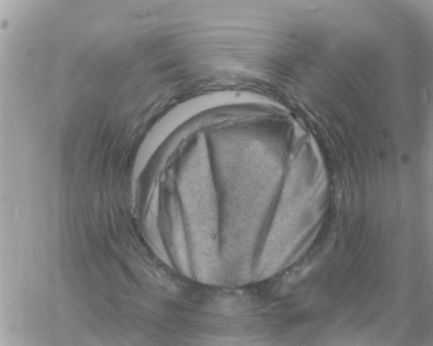 X0000061150916200512091955