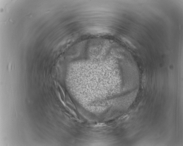 X0000061150917200512091955