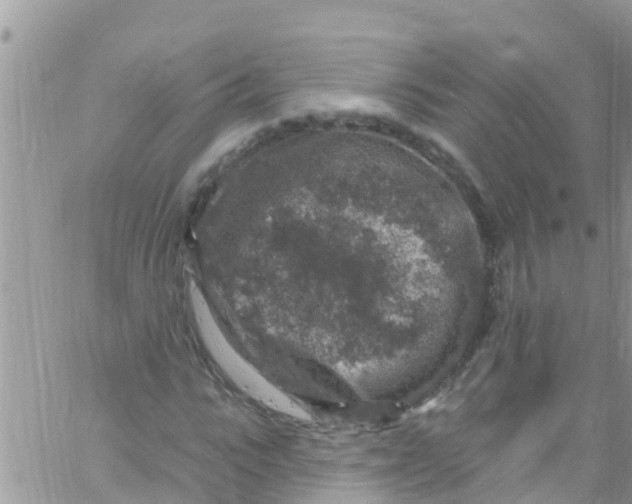 X0000061150919200512091955