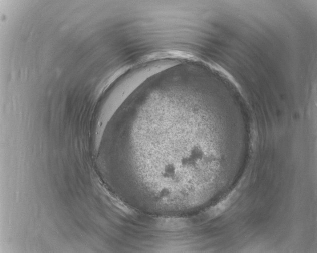 X0000061150921200512091955