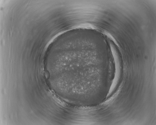 X0000061150923200512091955