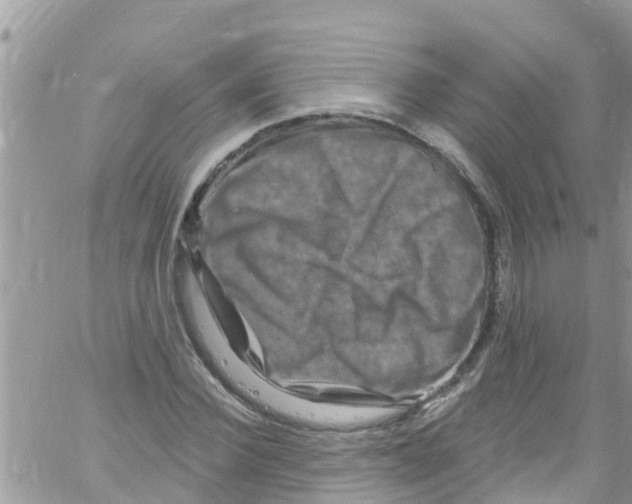 X0000061150924200512091955