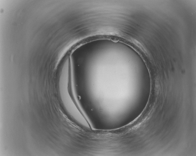 X0000061150926200512091955