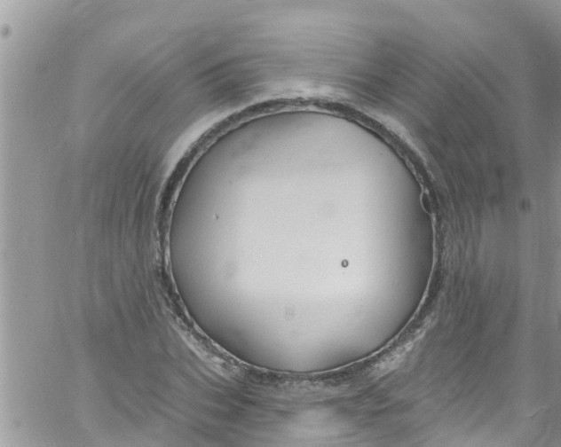 X0000061150927200512091955