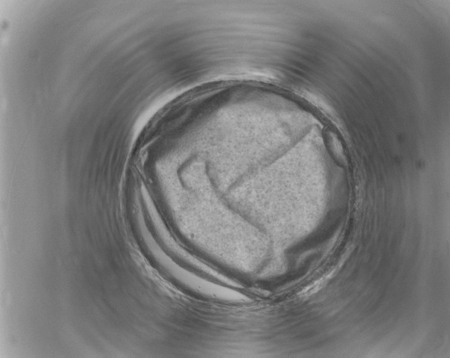 X0000061150928200512091955