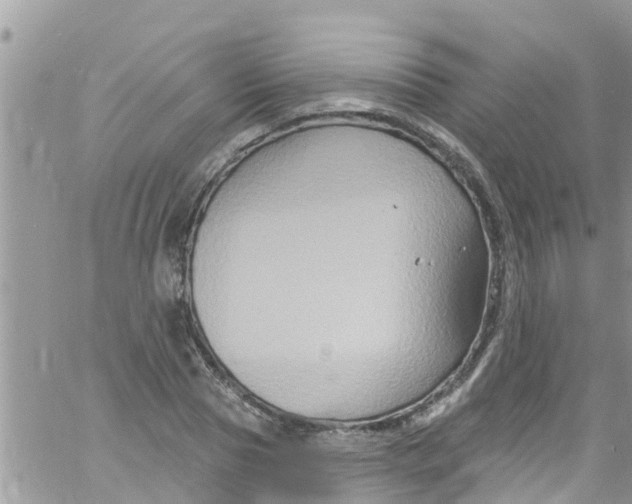 X0000061150929200512091955