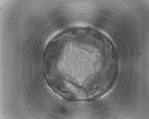 X0000061150930200512091955