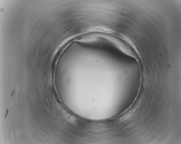 X0000061150931200512091955