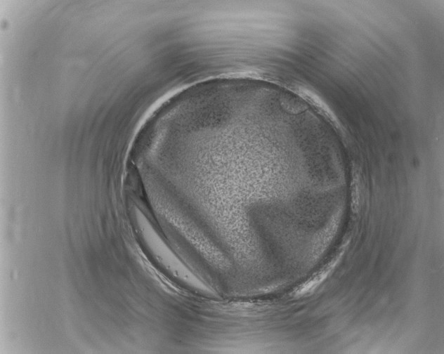 X0000061150932200512091955