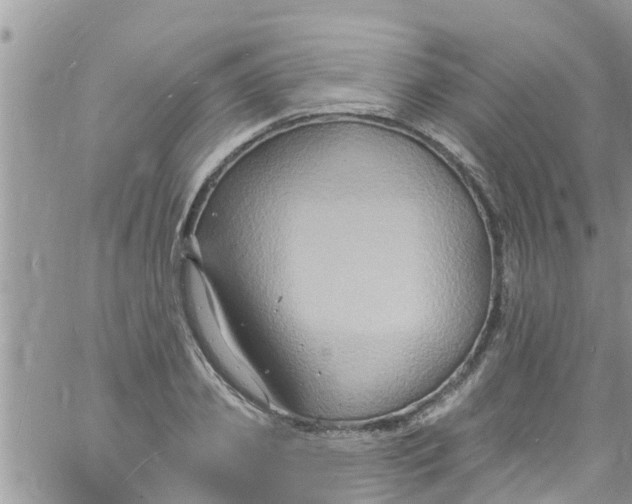 X0000061150933200512091955