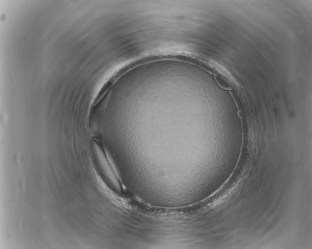 X0000061150934200512091955