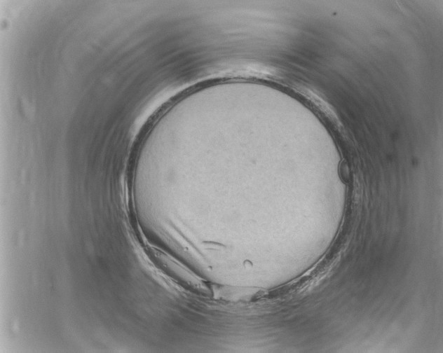 X0000061150936200512091955