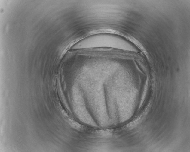 X0000061150937200512091955