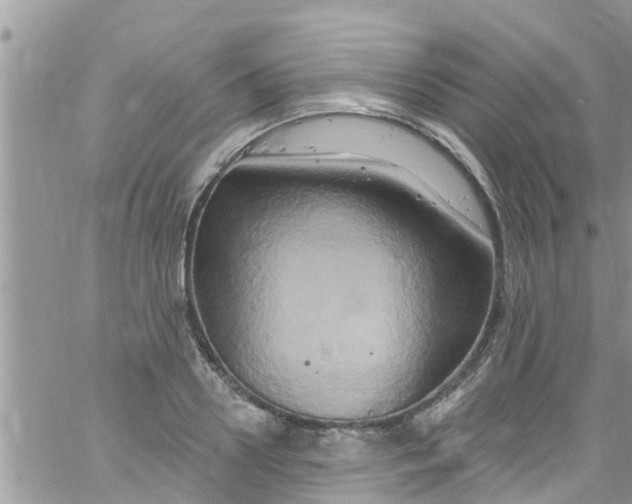 X0000061150938200512091955