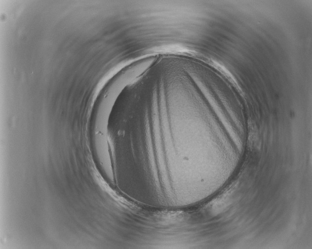 X0000061150939200512091955