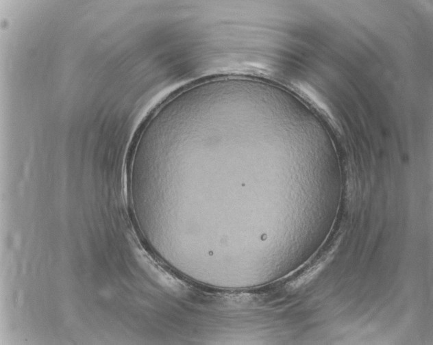 X0000061150940200512091956