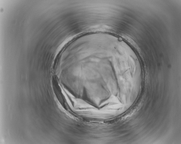 X0000061150941200512091956