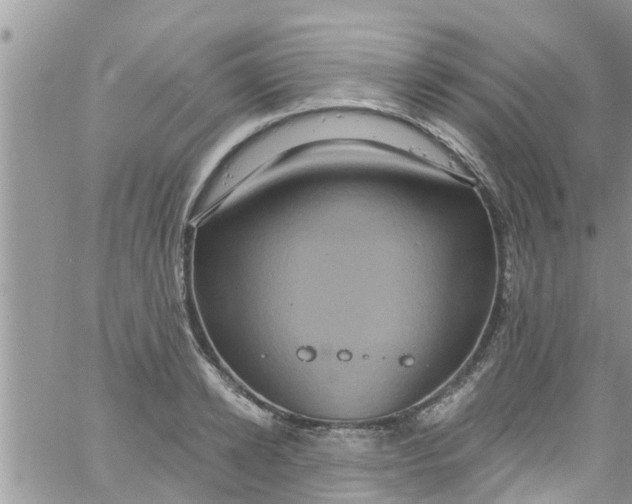 X0000061150942200512091956