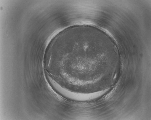 X0000061150943200512091956