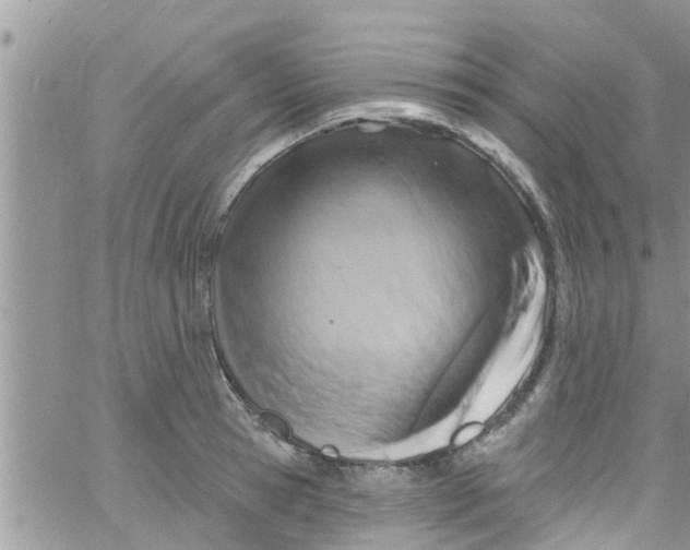 X0000061150945200512091956