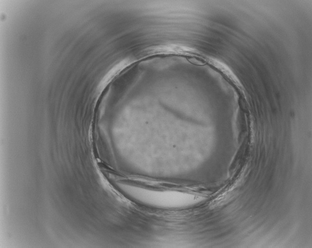 X0000061150946200512091956