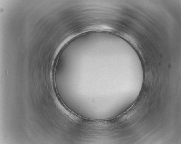 X0000061150947200512091956