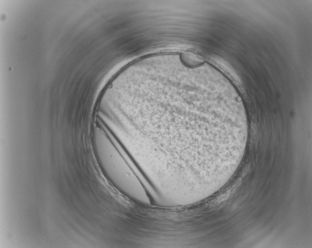 X0000061150948200512091956