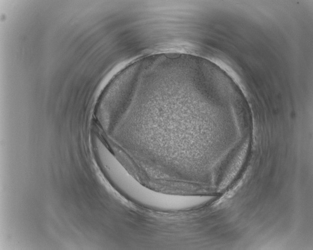 X0000061150949200512091956