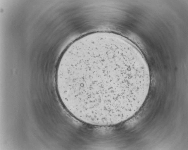 X0000061150950200512091956