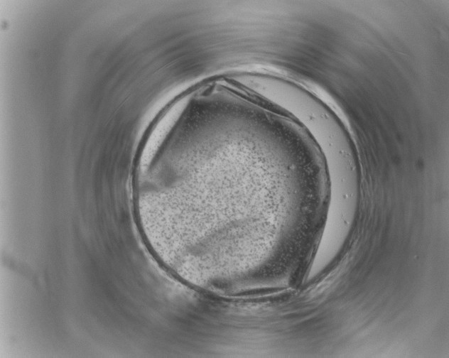 X0000061150951200512091956