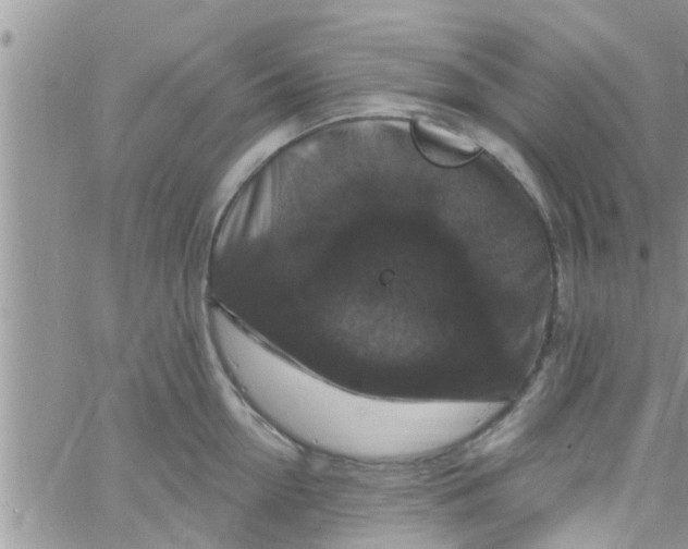 X0000061150954200512091956