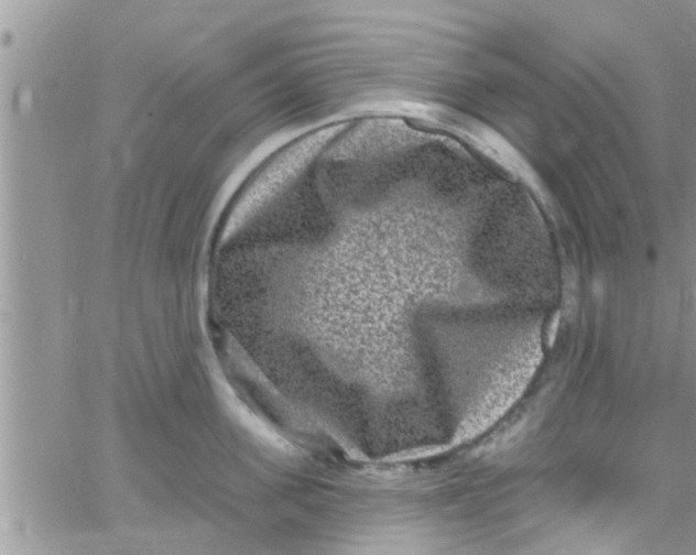 X0000061150955200512091956