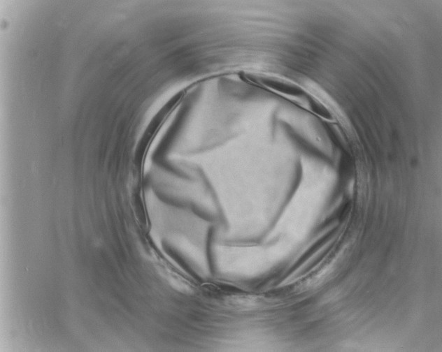 X0000061150956200512091956