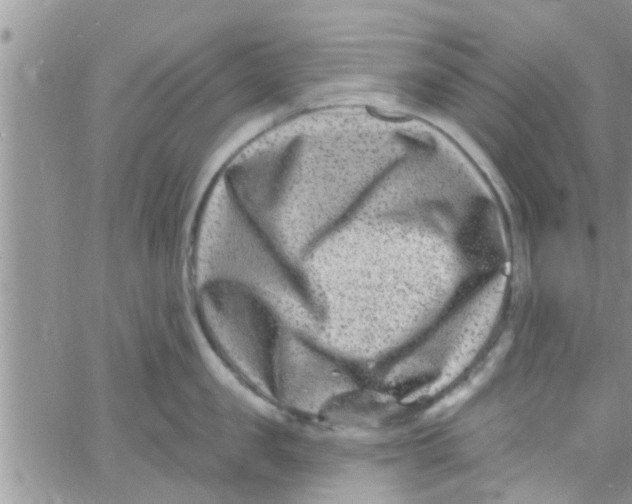 X0000061150957200512091956