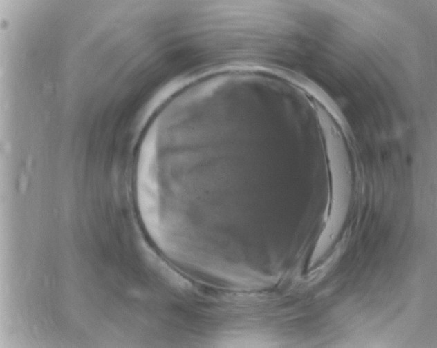 X0000061150958200512091956