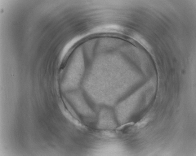 X0000061150960200512091956