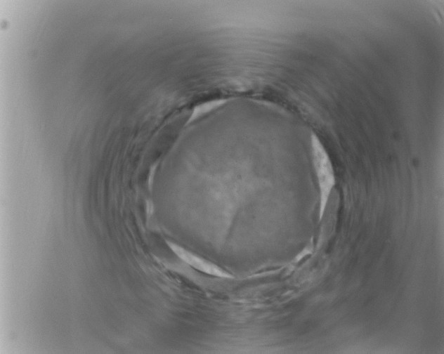 X0000061150961200512091955