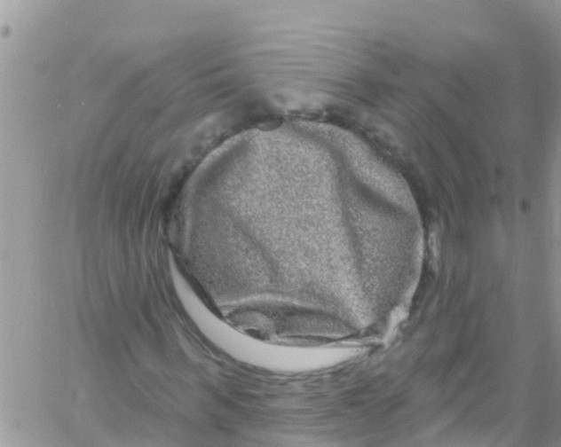 X0000061150963200512091955