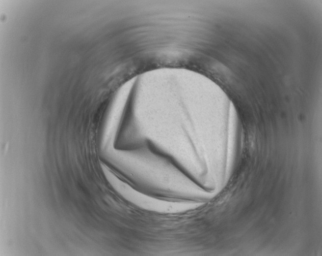 X0000061150964200512091955