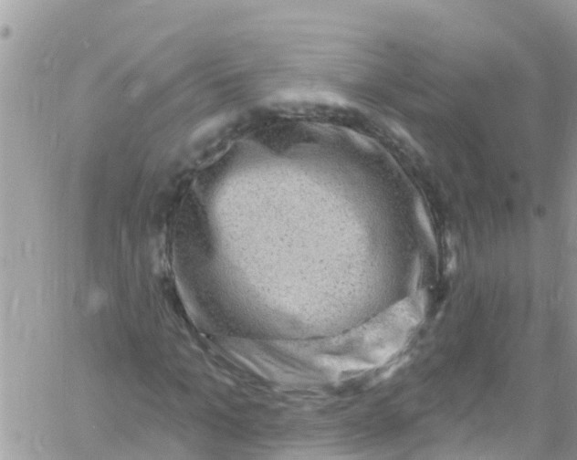 X0000061150965200512091955