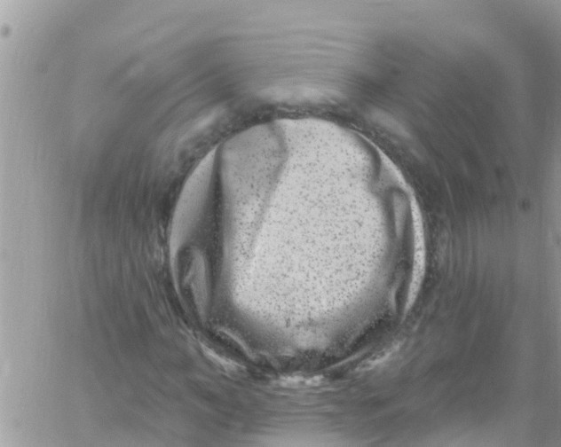 X0000061150966200512091955