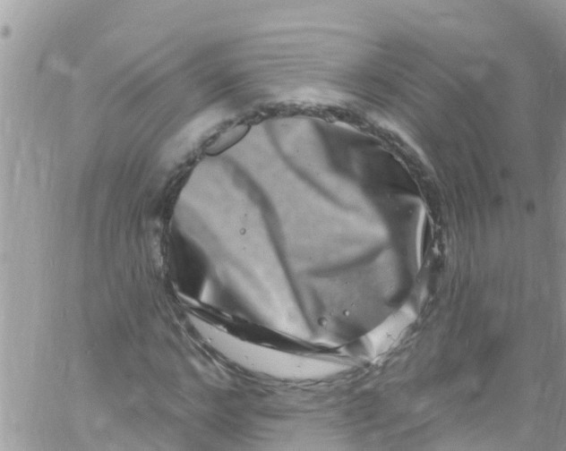 X0000061150968200512091955