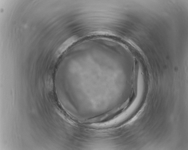 X0000061150969200512091955