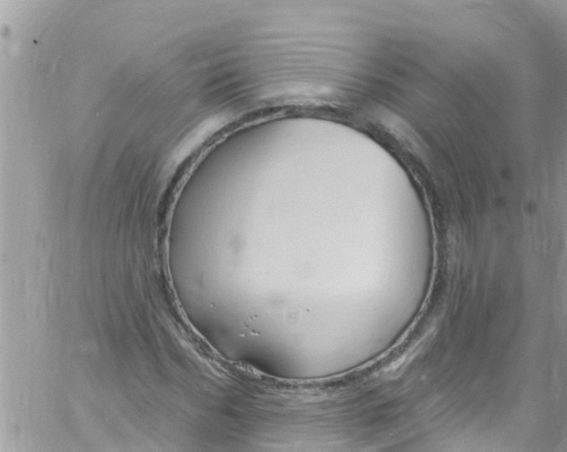 X0000061150970200512091955