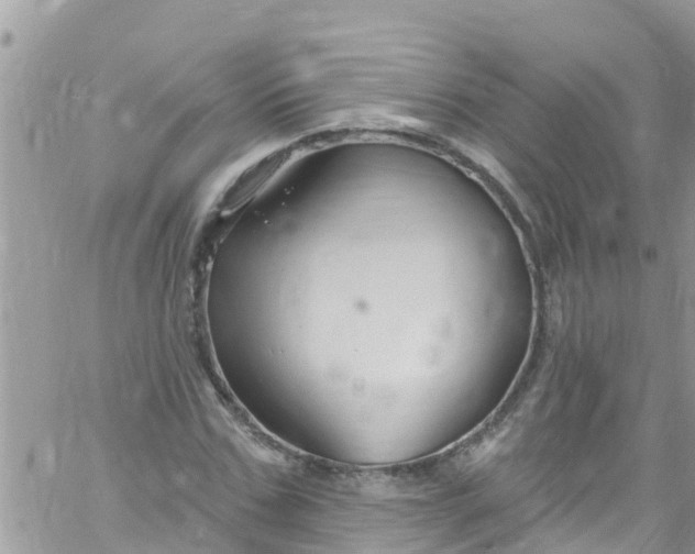 X0000061150971200512091955