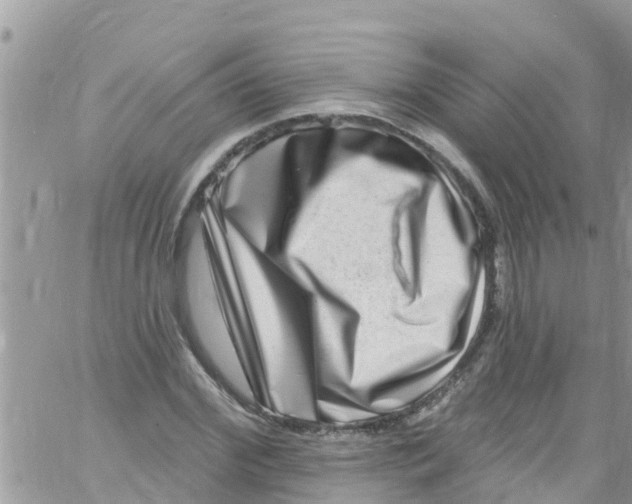 X0000061150972200512091955