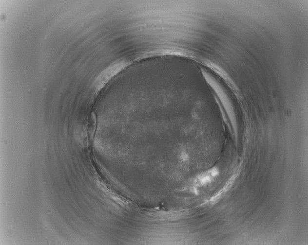 X0000061150977200512091955