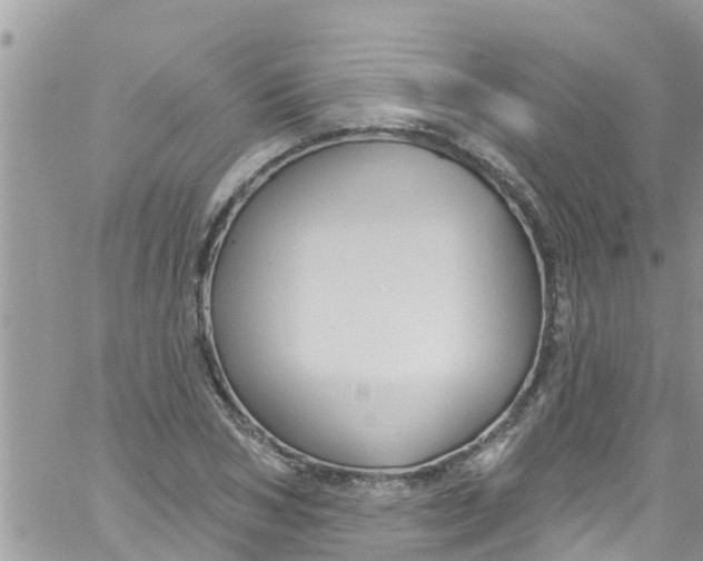 X0000061150978200512091955