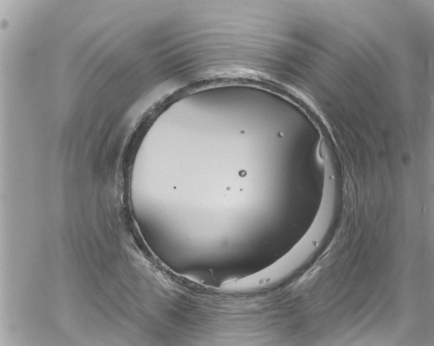 X0000061150979200512091955