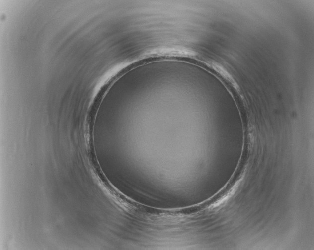 X0000061150981200512091955